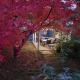 Kooloora Cottage, Tumbarumba (foto 2)