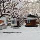 Hinwali Kanthi River Side Camp and Cottage, Harsil - Foto 10