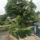 Lovely house, fantastic location, Cowbridge (fotografie 8)