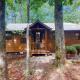 Bear Necessity Cabin, Hiawassee (Foto 4)