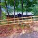 Bear Necessity Cabin, Hiawassee (Foto 7)