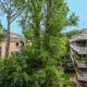 EurLakeSuite, Roma - Foto 2