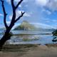 OIA Beach Hostel - El Nido