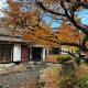 MosHouse自然の家, Iizuka