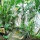 Jungle Hut near Beach - Nature Lovers, Las Terrenas - Fotografie 8
