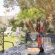 Arteflor Villa with beautiful garden at 200m from the beach, El Palmar (foto 5)