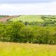 Shepherds hut with valley views Bodmin - Fotografie 6