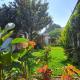 Jardín de Stela Hotel, Antigua Guatemala - Foto 1