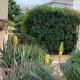Home Garden, Roseto degli Abruzzi (fotografie 7)
