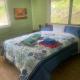 Dogsland Bellevue - Bienvenidos - Ferienwohnungen, Quito (foto 5)