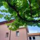 B&B La dolce Vite, Medea (foto 10)