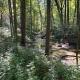 Shallow Creek Suite, River Bluff (фото 9)