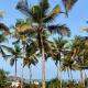 Villa Fiesta - Beachfront Getaway, Verna - Foto 6