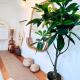 Little Nest - Old Town - Breakfast - Wifi - AC, Nice - Fotografie 5
