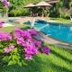 Dalia Budget Hotel, Senggigi (fotografie 5)