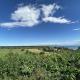 Large holiday apartment on the lagoon, relaxation, Kamminke - Foto 10