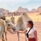 Fadi camp, Wadi Rum - Foto 9