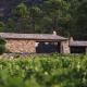 Bergerie dans les Vignes