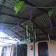 Neelkanth homestay, Kausani - Foto 1