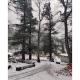 Harsil apple homestay, Harsil, Harsil - Fotografie 3