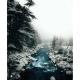 Harsil apple homestay, Harsil, Harsil - Fotografie 4