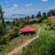 Terra on a hill, Panchgani - Foto 1