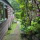 The Cabin, Roundabout Lane, West Chiltington (fotografie 4)