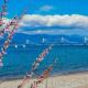 Mare Mare Thalassa A, Patra (foto 2)