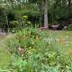 The Cabin, Roundabout Lane, West Chiltington (fotografie 7)