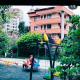 Trabzon , söğütlü, Söğütlü (foto 8)
