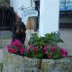 Hotel Pension Gelpkes Mühle, Bad Sachsa - Photo 8