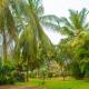 Beverly Africa Suites Malindi, Malindi - Fotografie 3