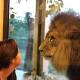 Big Cat Bungalows at The Haven - Tiger 3, Canastota (fotografie 10)