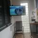 Apartman Mijatovic, Donji Milanovac (foto 2)