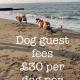 Dog friendly cottage 2 mins to beach with hot tub and Zappi EV, Lessingham (fotografie 4)