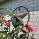 Lonestar Appartement, Burgh Haamstede (foto 5)