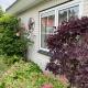 Lonestar Appartement, Burgh Haamstede (foto 4)