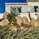 Suite deluxe in Villa Amaca angolo di paradiso con piscina riscaldata e sauna a raggi infrarossi, Arzachena (fotografie 5)