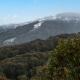 Bobuck 3B Thredbo - Foto 6