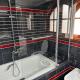 Aiolos Grand super lux suite kalamaki Alimos near the sea, Athen - Foto 6