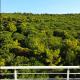 kleno seaside, Margjonaj (foto 4)