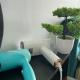 IPOH Town R&E Homestay, Ipoh (foto 5)