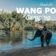 Wangpocamping วังโพแค้มป์ปิ้ง, Ban Wang Pho (foto 10)