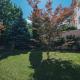 Bezauberndes Studio mit privatem Garten, Vienna - Foto 5