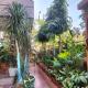 The Divine Home Stay, Guwahati - Foto 2