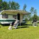 CAMPING PITCH with electricity bring you're OWN CARAVAN OR TENT, Ruinerwold (foto 8)