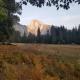 Loyah Cabin, Ahwahnee (fotografie 7)