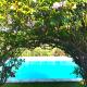Quinta Santo António, Pereiro da Palhacana (Foto 8)