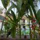 Hoi An Garden Villas, Hội An - Photo 2