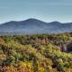 Eagles View - Full Mountain View Pet Friendly Blue Ridge - Fotografie 3